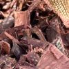 Mexican – Mimosa hostilis Inner Root Bark (MHRB) – Whole